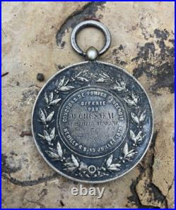 350a ANCIENNE MEDAILLE DES SAPEURS POMPIER 1870