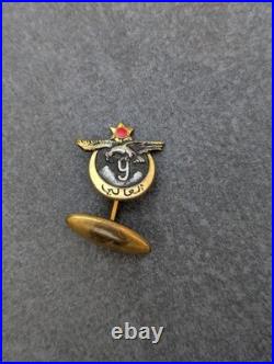 Lot médailles et plaques sous off 9 RTA Tunisie Libération Algérie ww2