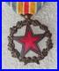 MEDAILLE-DES-BLESSES-modele-peu-courant-avec-filet-vers-le-bord-de-l-etoile-01-wtxf