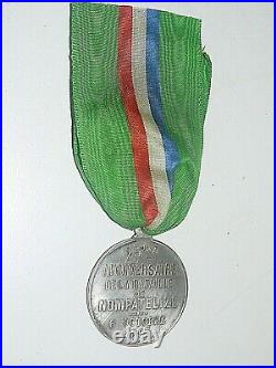 Medaille 1870 1871. 25 ° Anniversaire De La Bataille De Nompatelize. 1895