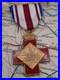 Medaille-du-merite-pour-don-de-sang-niveau-or-Croix-Rouge-luxembourgeoise-RARE-01-zij