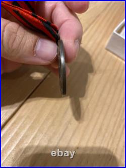 Médaille du réseau Lord Denys