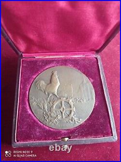 Médaille militaire en bronze, libération de Mulhouse 1918 signé DAMMANN, WW1